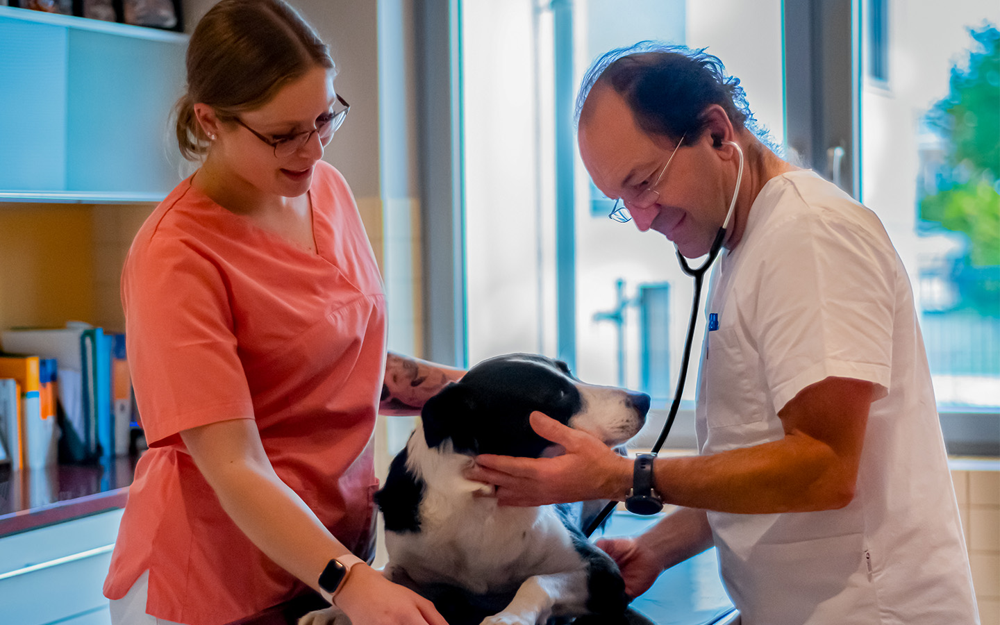 Tierarzt Dr. Szcepanski untersucht einen Hund.
